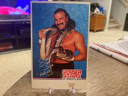 1989 WWF JAKE THE SNAKE ROBERTS Superstars Of Wrestling Post Card RARE