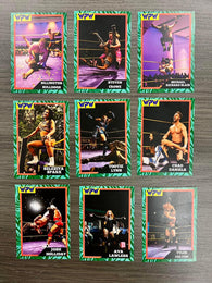WPW Trading Cards - Series 2 (10-card set)