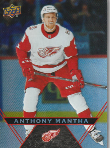 Anthony Mantha 2018-19 Tim Hortons Hockey Card #39