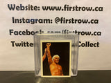 Ric Flair 1992 Merlin WWF Album stickers #50