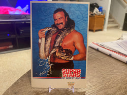 1989 WWF JAKE THE SNAKE ROBERTS Superstars Of Wrestling Post Card RARE