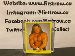 Triple H WWF WWE 1998 Cardinal Wrestling Card