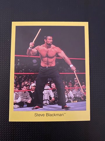 Steve Blackman WWF WWE 1998 Cardinal Wrestling Card